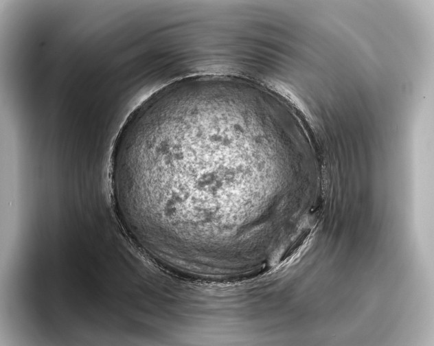 X0000096951071200802221317