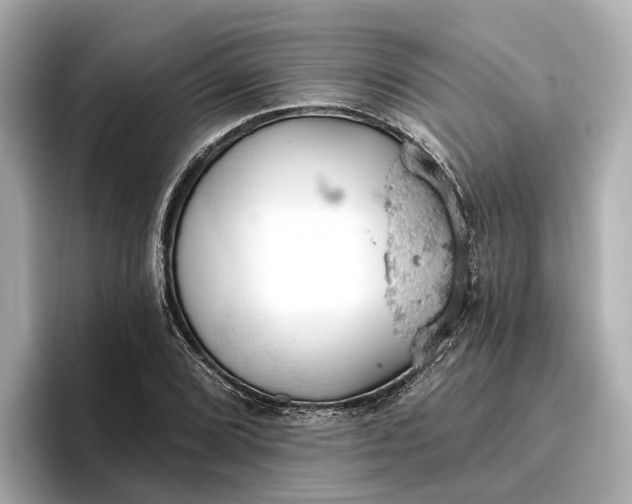 X0000096951072200802221317