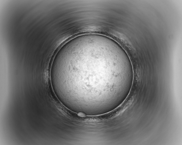 X0000096951073200802221317