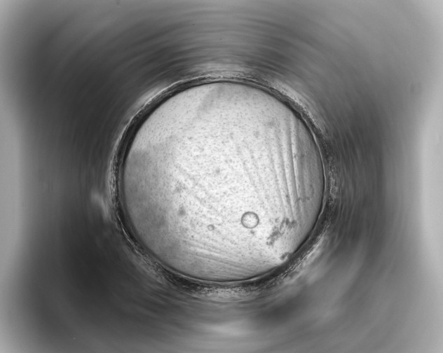 X0000096951074200802221317