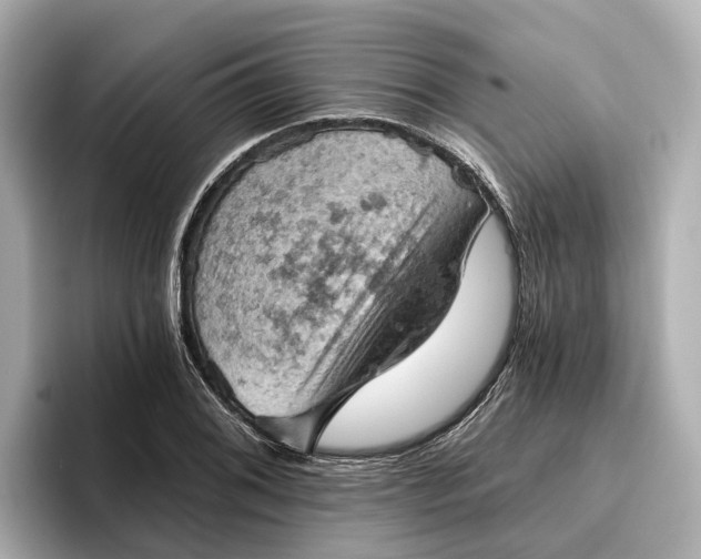 X0000096951076200802221317