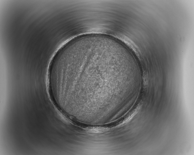 X0000096951077200802221317