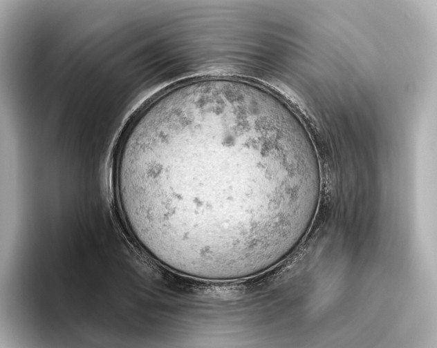 X0000096951078200802221317
