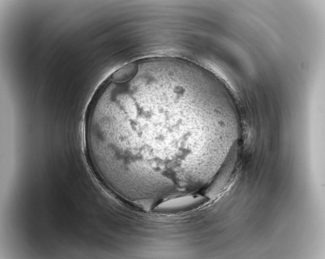 X0000096951079200802221317