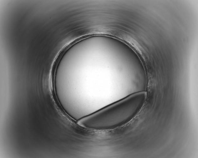 X0000096951080200802221317