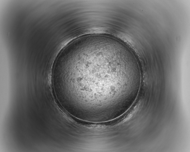 X0000096951081200802221317