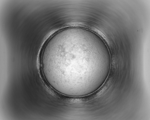 X0000096951082200802221317