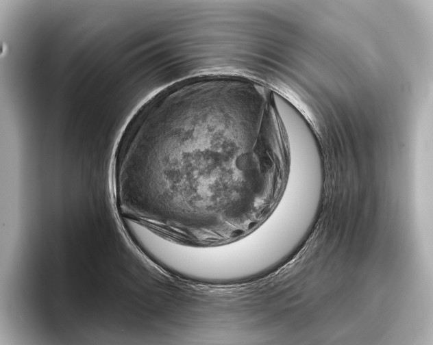 X0000096951084200802221317