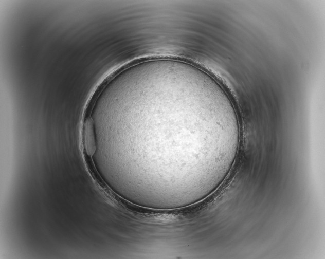 X0000096951085200802221317