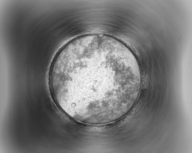 X0000096951086200802221317