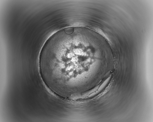 X0000096951087200802221317