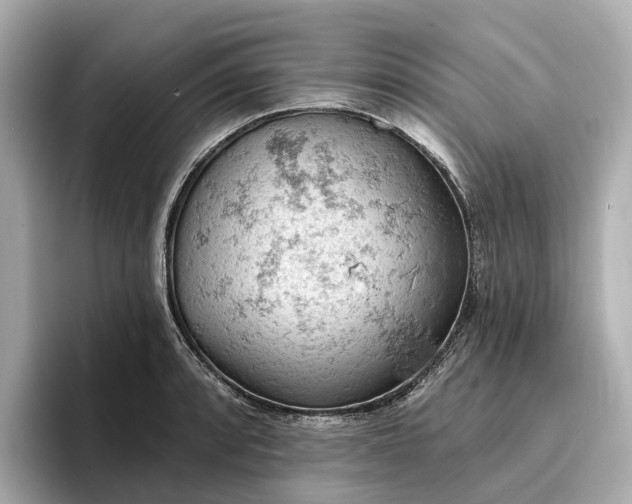 X0000096951088200802221317