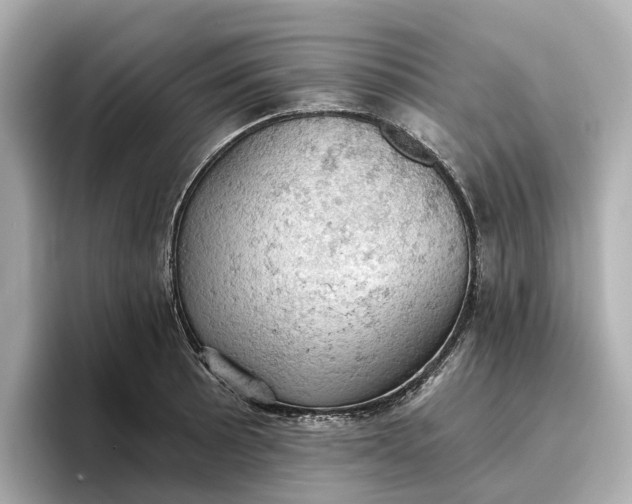X0000096951089200802221317