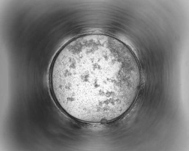 X0000096951090200802221317