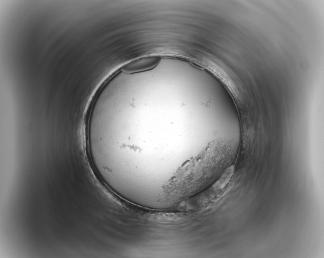 X0000096951092200802221317