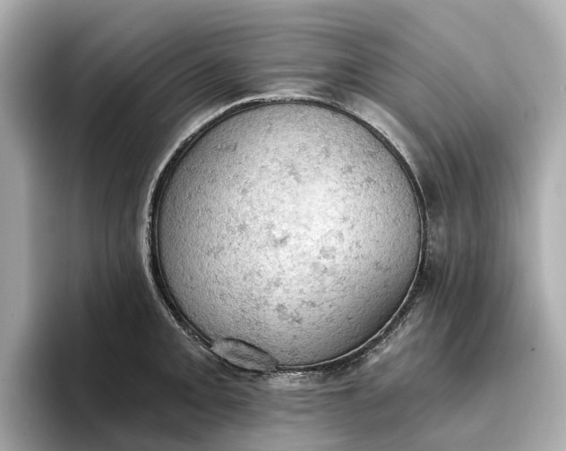 X0000096951093200802221317