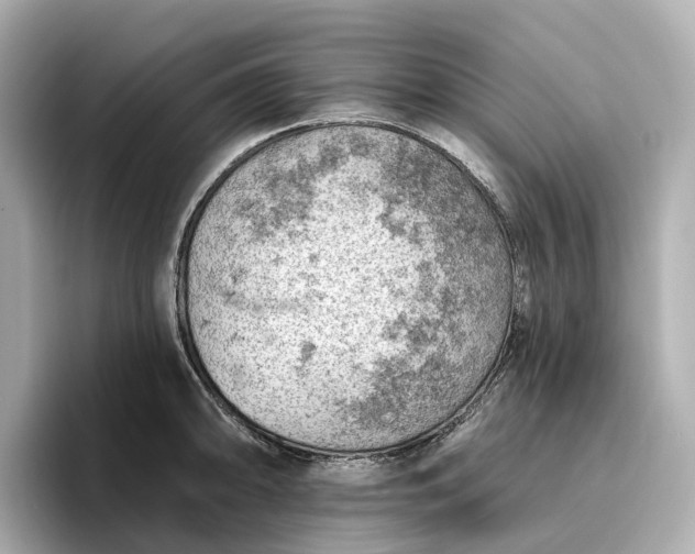 X0000096951094200802221317