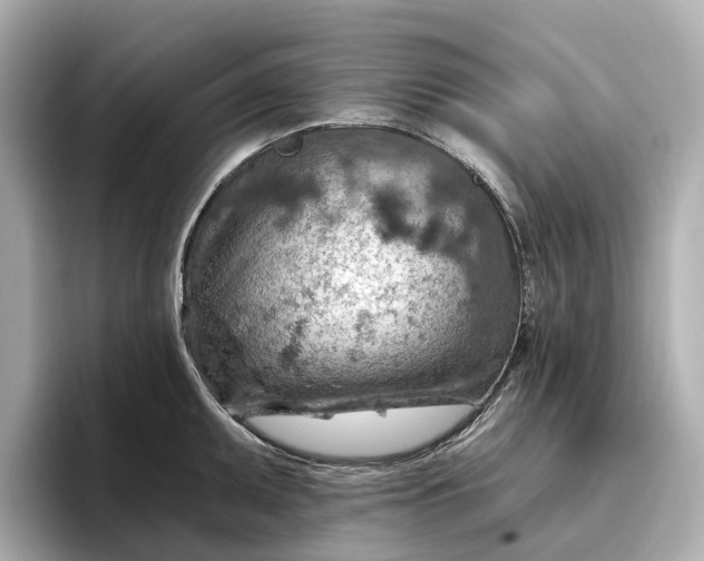 X0000096951095200802221317