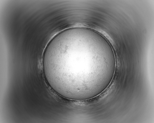 X0000096951097200802221317