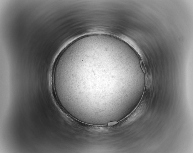 X0000096951101200802221317