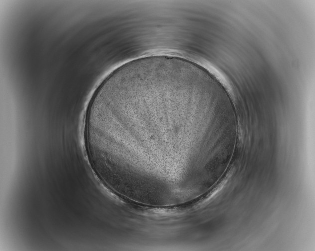 X0000096951102200802221317
