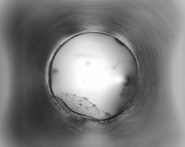 X0000096951104200802221317