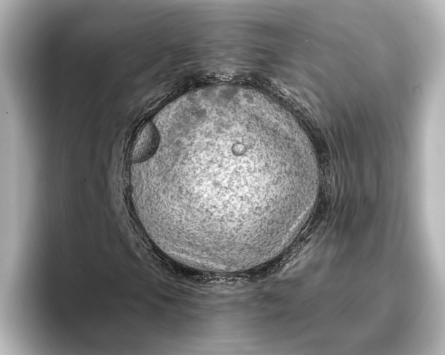 X0000096951105200802221316