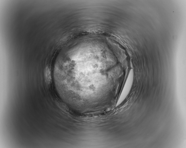 X0000096951106200802221316