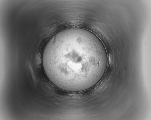 X0000096951107200802221316
