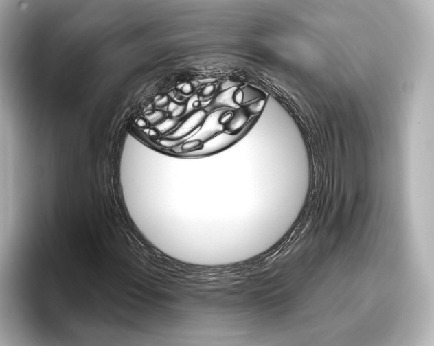 X0000096951108200802221316