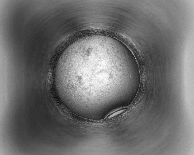 X0000096951110200802221316