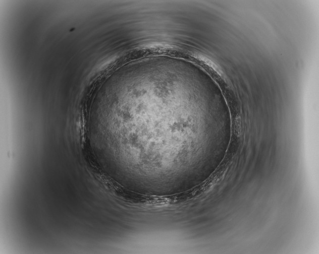 X0000096951111200802221316