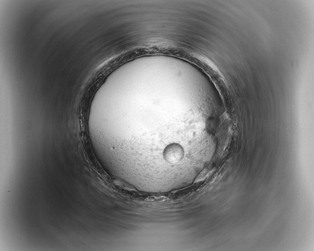 X0000096951112200802221316