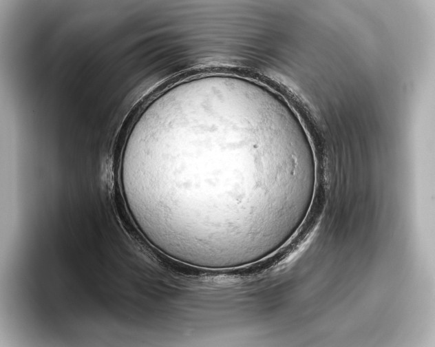 X0000096951113200802221316