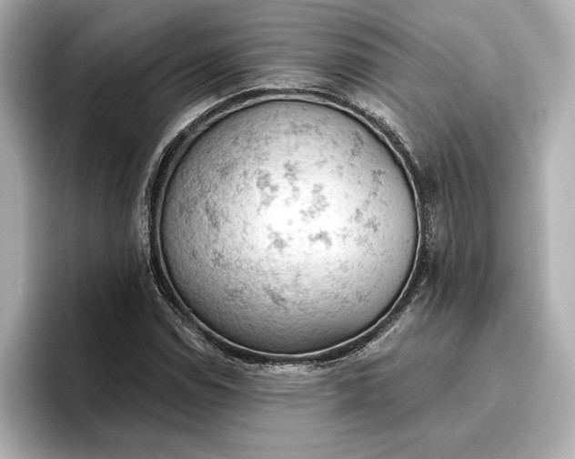 X0000096951114200802221316