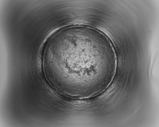 X0000096951115200802221316