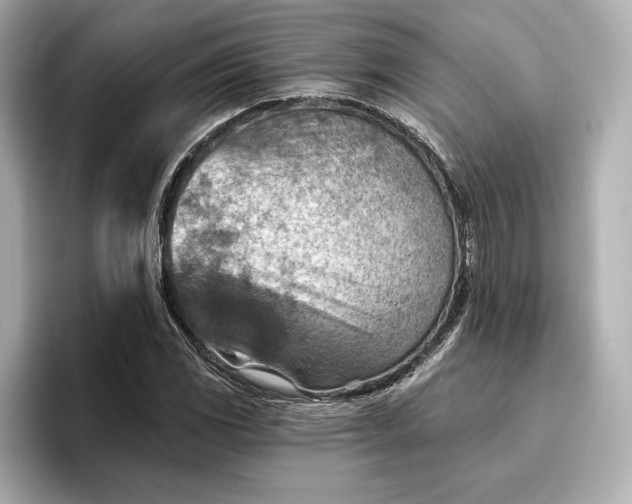 X0000096951117200802221316