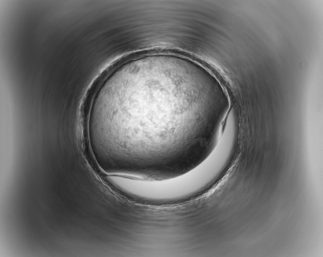 X0000096951118200802221316
