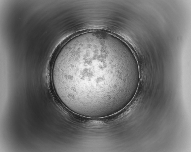 X0000096951119200802221316