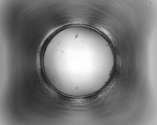 X0000096951120200802221316
