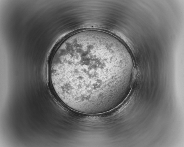 X0000096951123200802221317