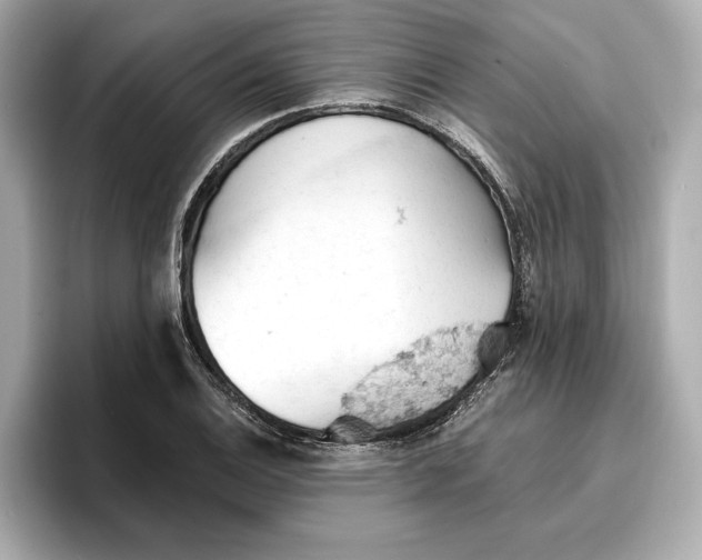 X0000096951124200802221317