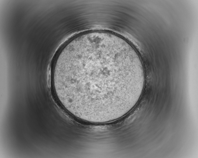 X0000096951126200802221317