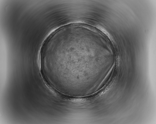 X0000096951127200802221317