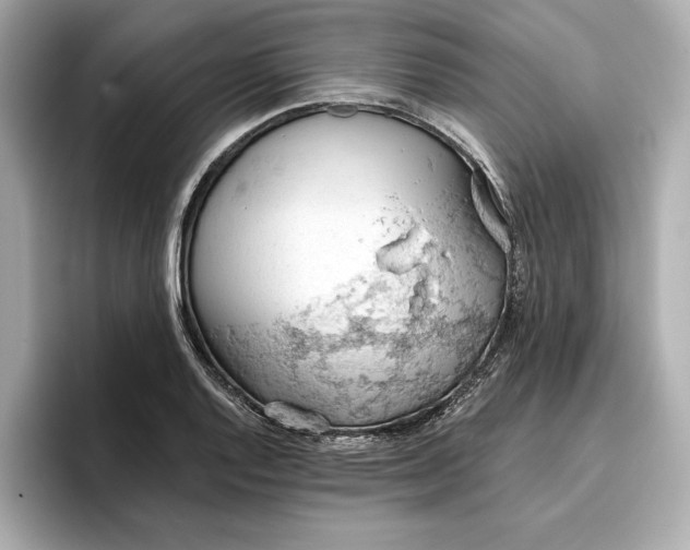 X0000096951128200802221317