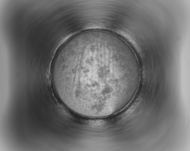 X0000096951129200802221317