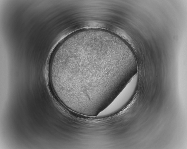 X0000096951130200802221317
