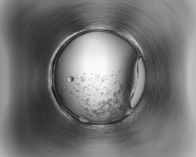X0000096951132200802221317