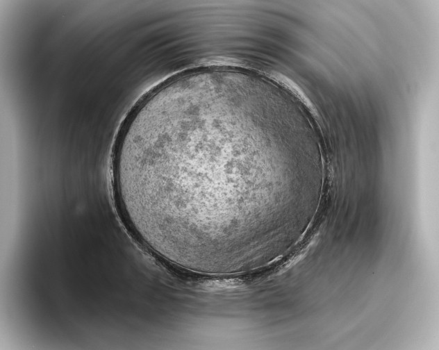 X0000096951133200802221317