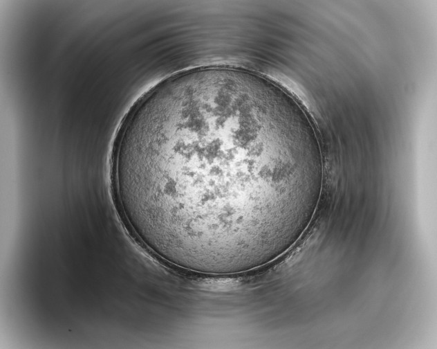 X0000096951135200802221317